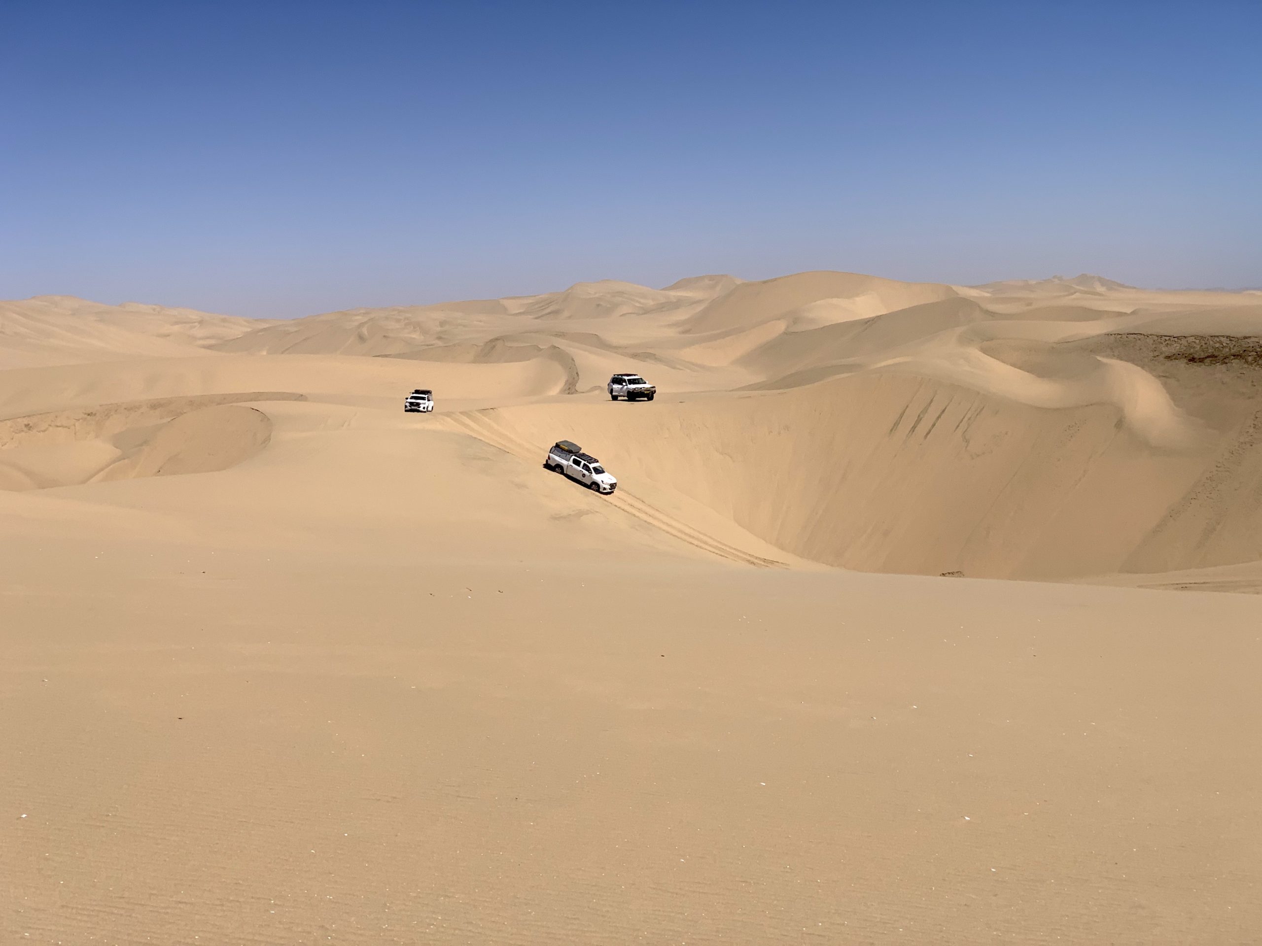 Dunes Namib Desert - Routes de légende :Routes de légende